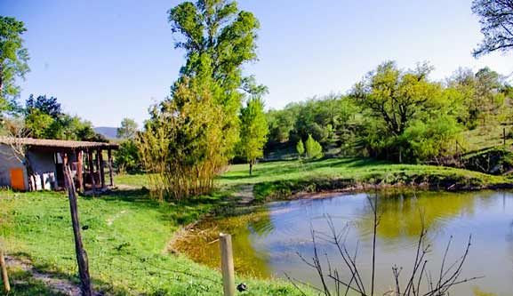 Camping écolo Ardèche
